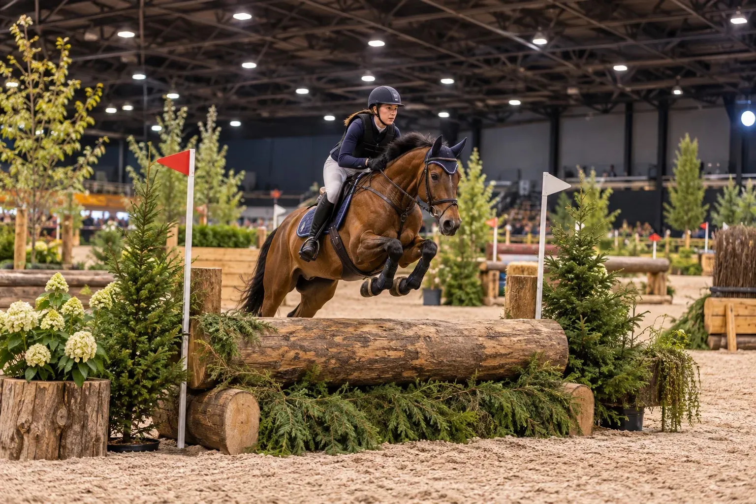 paard-ruiter