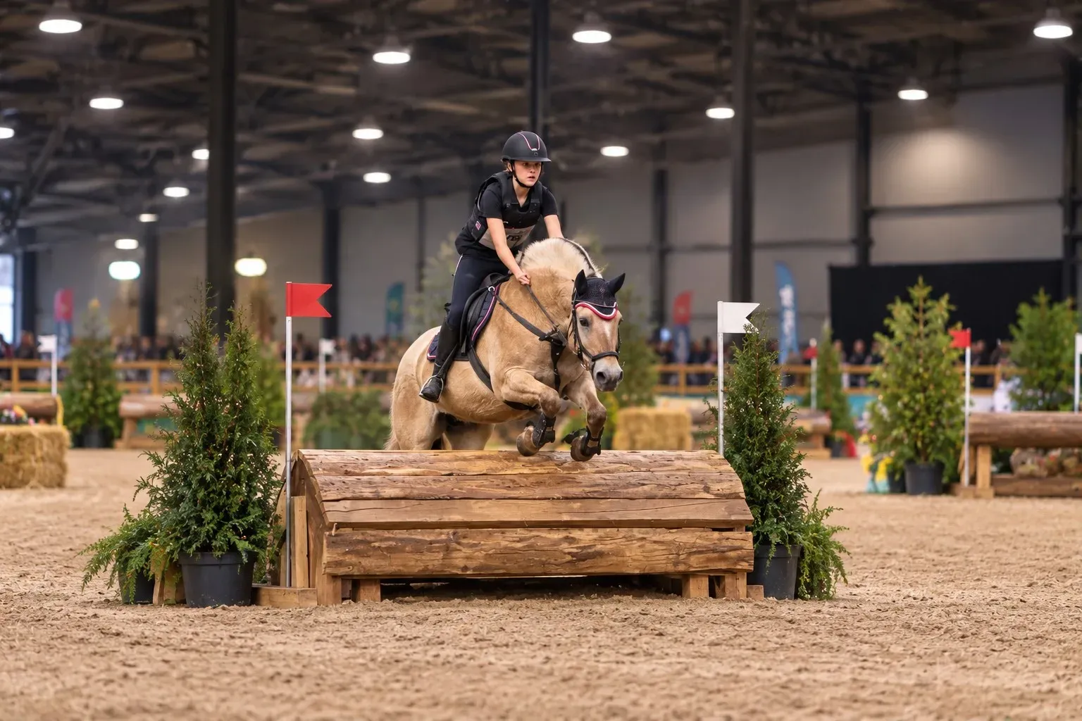 indoor paardensprong