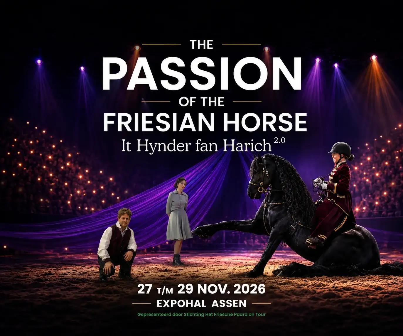 it-hynder-fan-harich-the-passion-of-the-friesian-horse